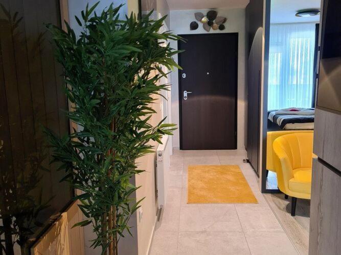 Wellness Apartments - Studio Apartment With Terrace G3 Varaždin Extérieur photo